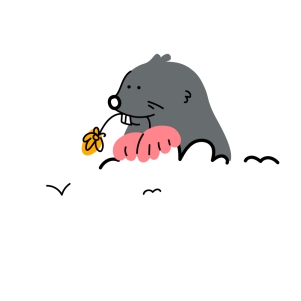 Understanding Guaranteed Minimum Pension (GMP)